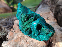 Natural Dioptase with Chrysocolla, Malachite and Shattuckite Specimens x 6 From Likasi, Congo - Toprock Gemstones and Minerals 
