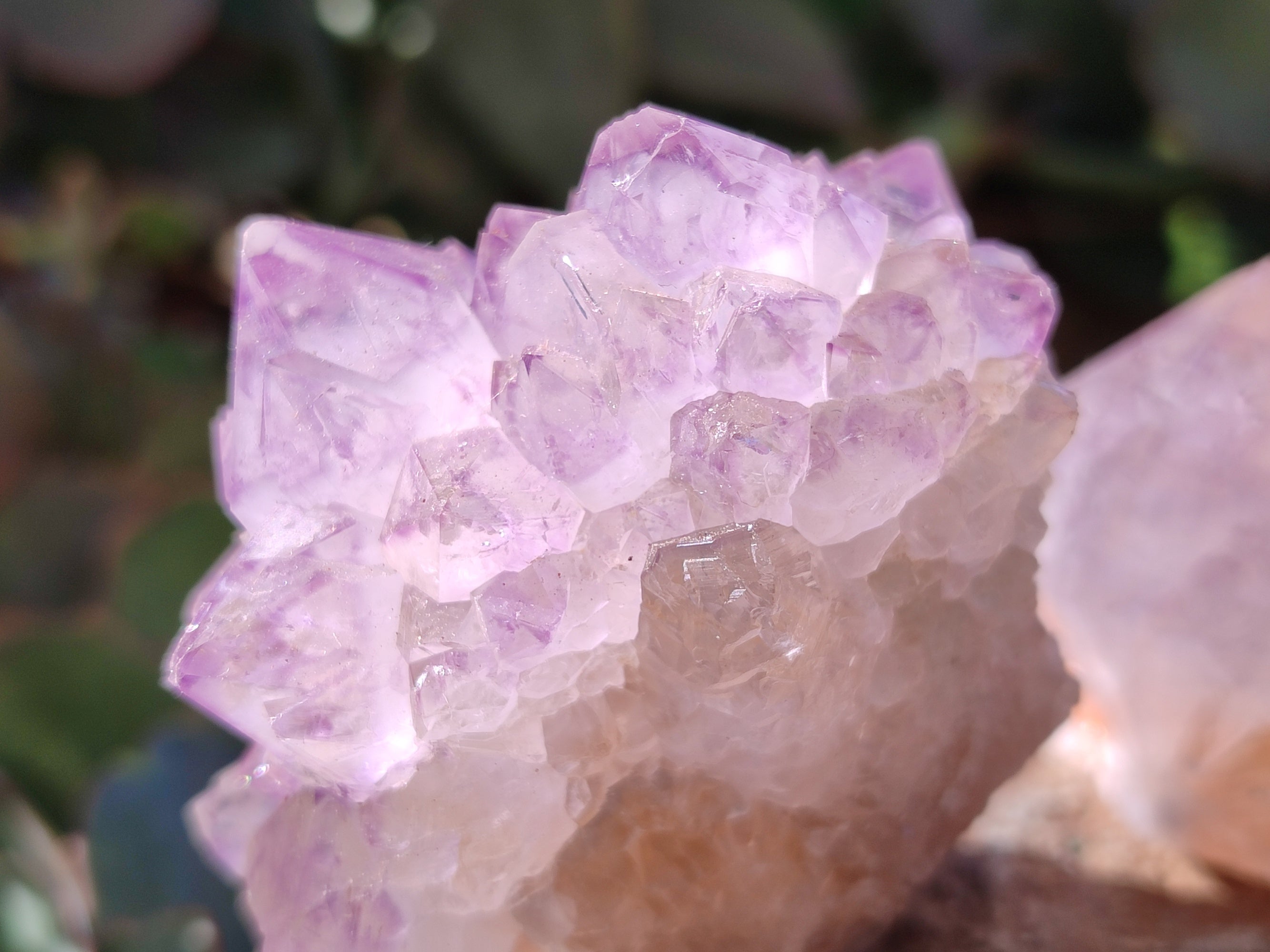 Natural Amethyst Spirit Quartz Clusters x 12 From Boekenhouthoek, South Africa - Toprock Gemstones and Minerals 
