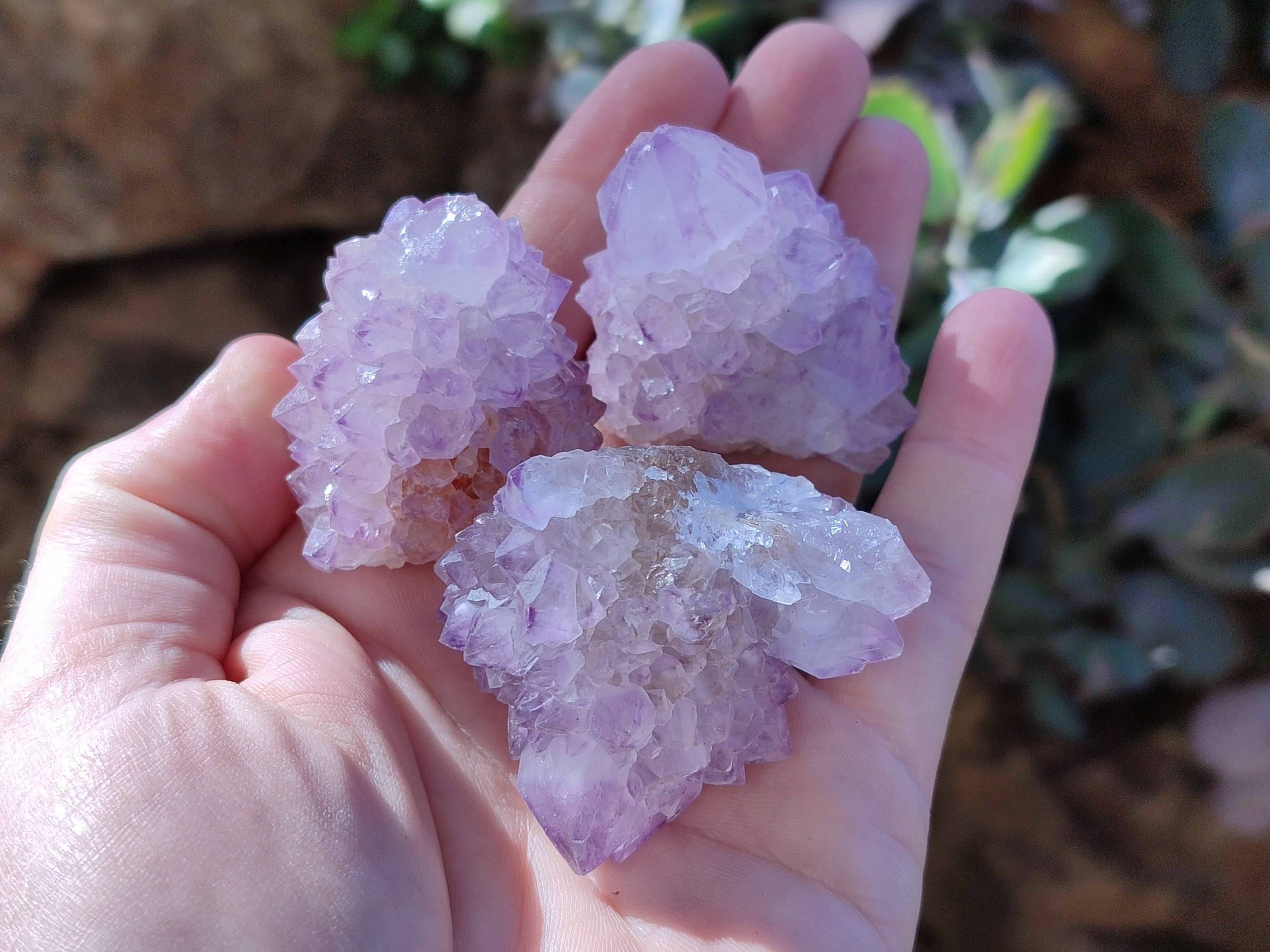 Natural Amethyst Spirit Quartz Clusters x 12 From Boekenhouthoek, South Africa - Toprock Gemstones and Minerals 