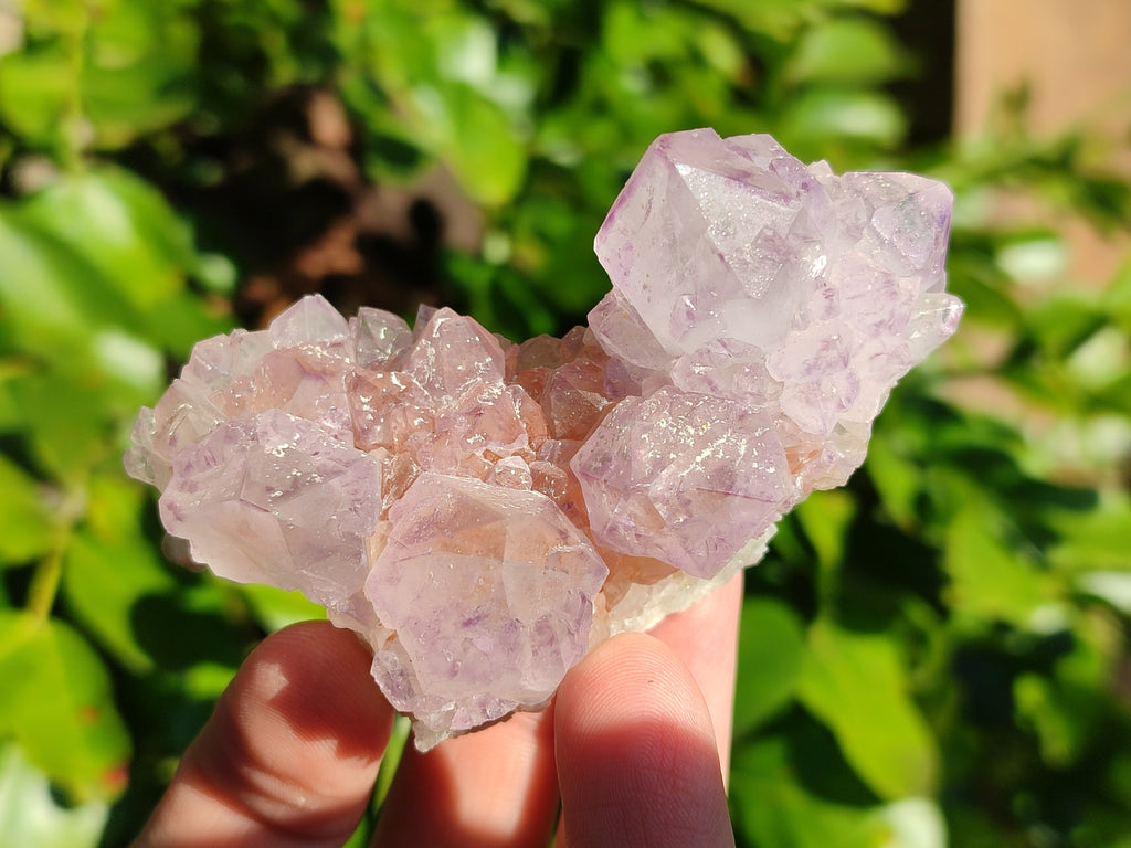 Natural Amethyst Spirit Quartz Clusters x 12 From Boekenhouthoek, South Africa - Toprock Gemstones and Minerals 