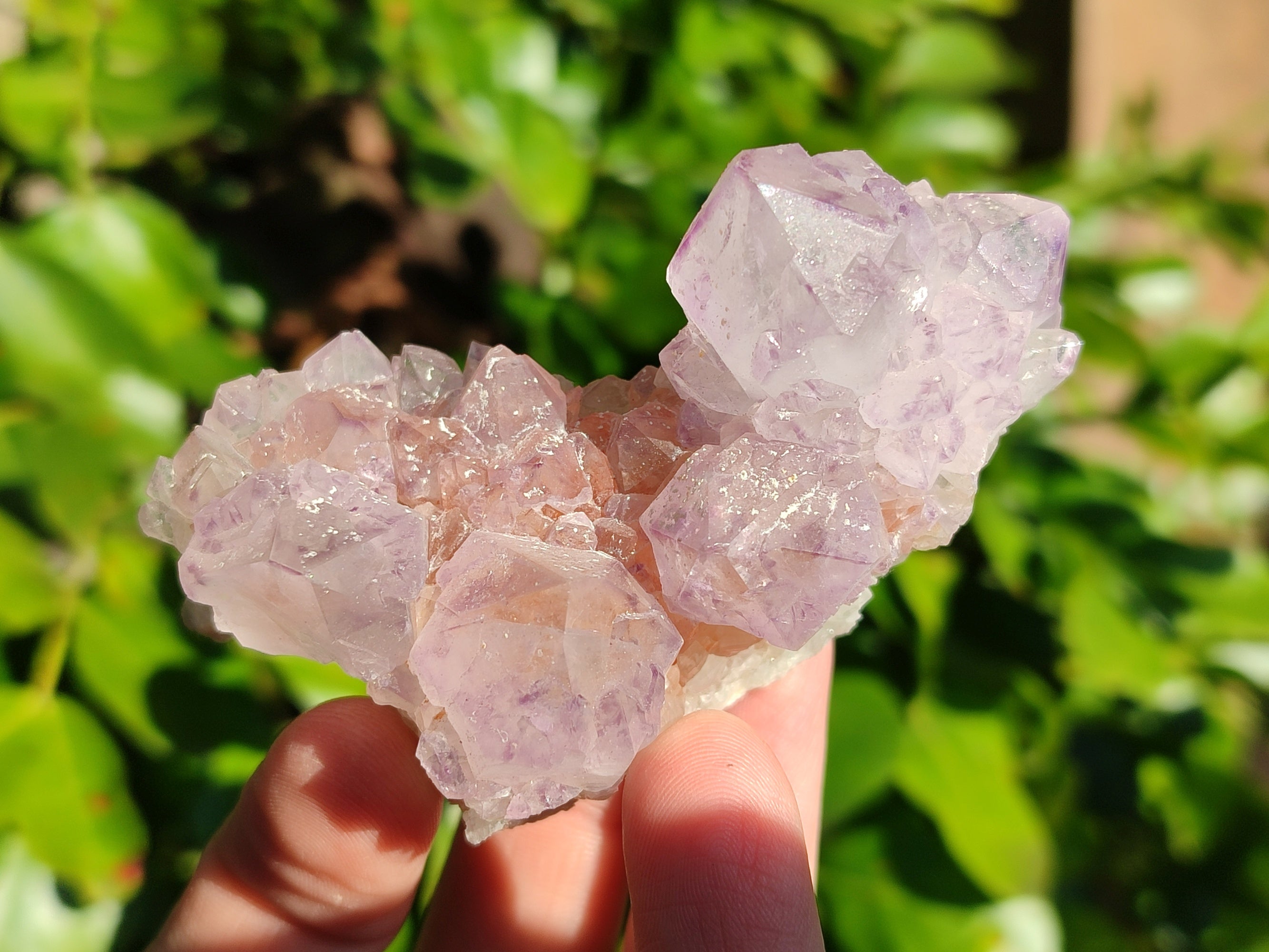 Natural Amethyst Spirit Quartz Clusters x 12 From Boekenhouthoek, South Africa - Toprock Gemstones and Minerals 