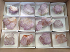 Natural Amethyst Spirit Quartz Clusters x 12 From Boekenhouthoek, South Africa - Toprock Gemstones and Minerals 