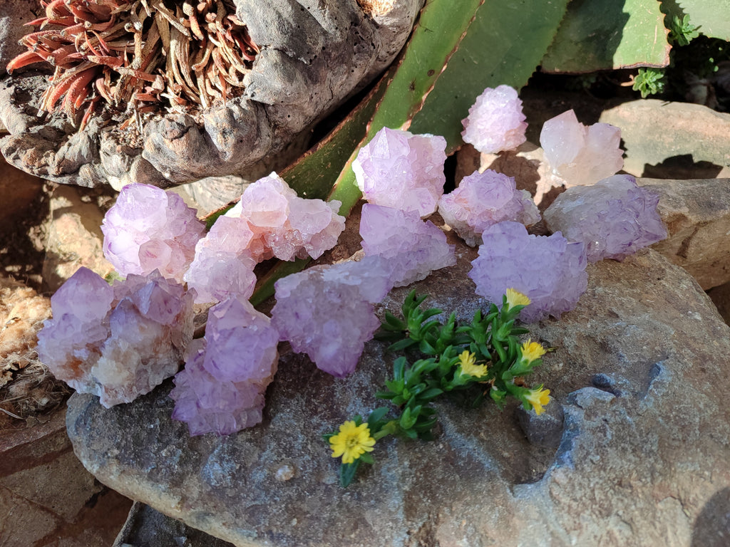 Natural Amethyst Spirit Quartz Clusters x 12 From Boekenhouthoek, South Africa - Toprock Gemstones and Minerals 