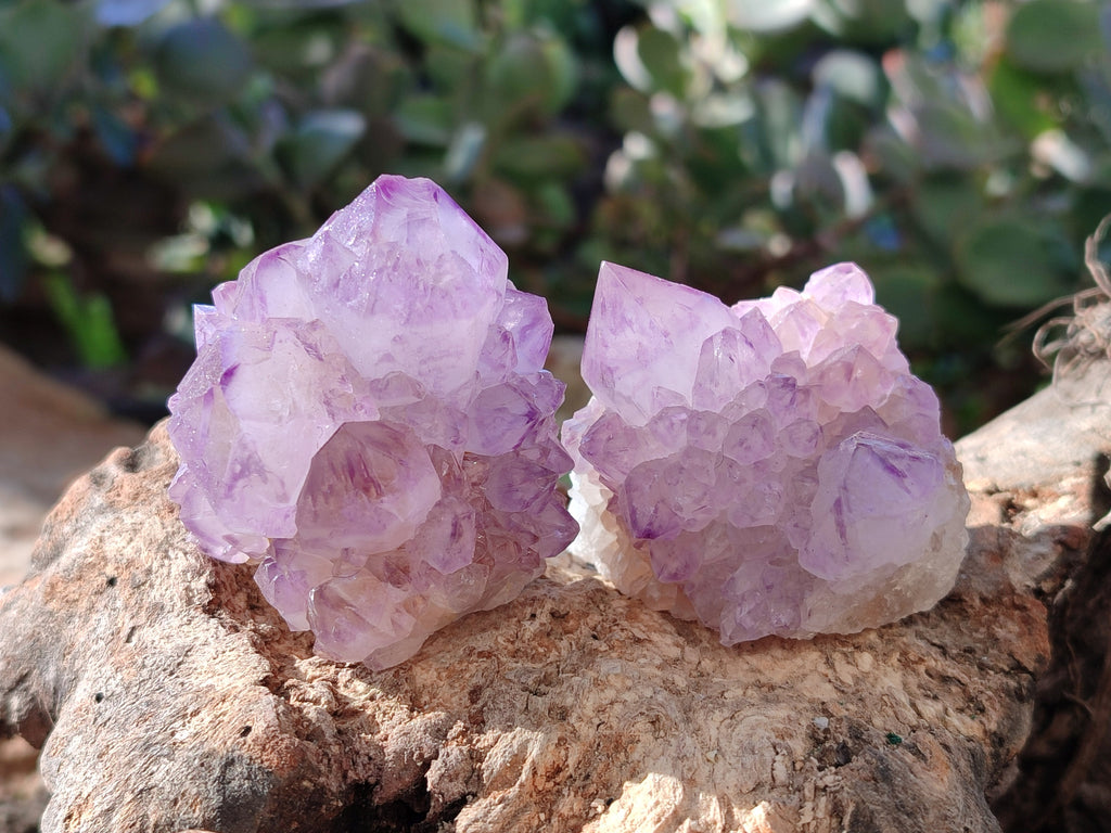 Natural Amethyst Spirit Quartz Clusters x 12 From Boekenhouthoek, South Africa - Toprock Gemstones and Minerals 
