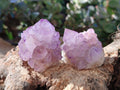 Natural Amethyst Spirit Quartz Clusters x 12 From Boekenhouthoek, South Africa - Toprock Gemstones and Minerals 