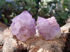 Natural Amethyst Spirit Quartz Clusters x 12 From Boekenhouthoek, South Africa - Toprock Gemstones and Minerals 