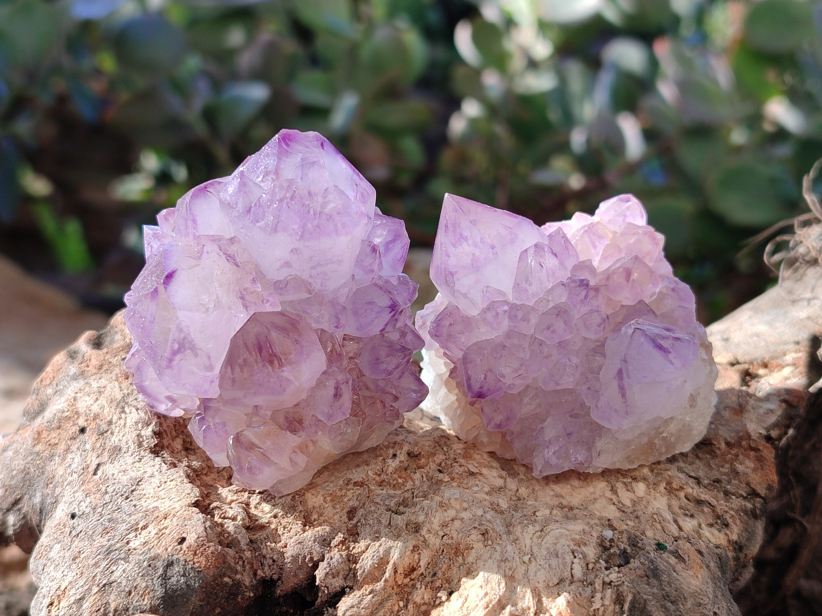 Natural Amethyst Spirit Quartz Clusters x 12 From Boekenhouthoek, South Africa - Toprock Gemstones and Minerals 