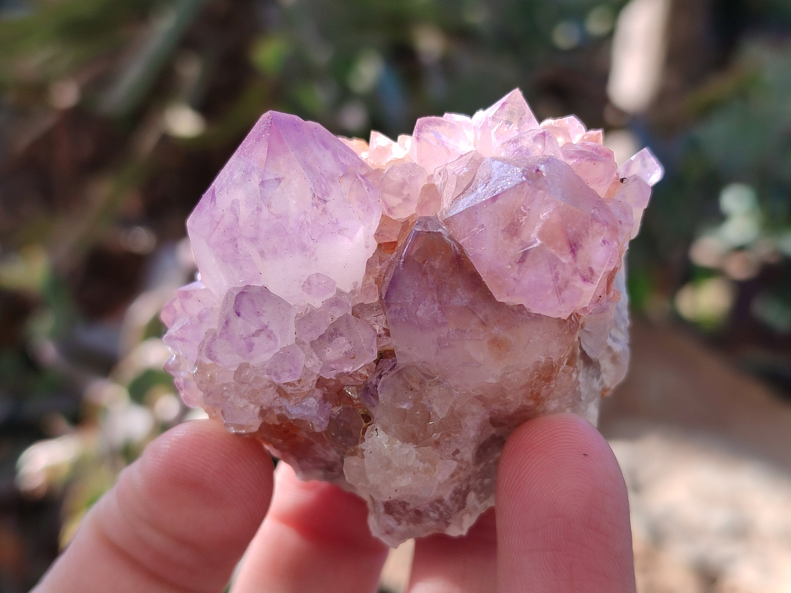 Natural Amethyst Spirit Quartz Clusters x 12 From Boekenhouthoek, South Africa - Toprock Gemstones and Minerals 