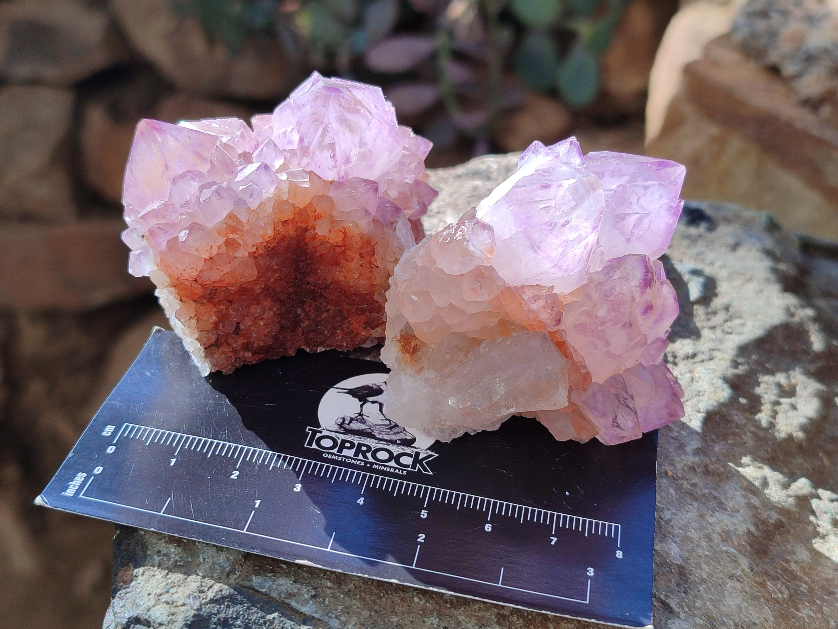 Natural Amethyst Spirit Quartz Clusters x 12 From Boekenhouthoek, South Africa - Toprock Gemstones and Minerals 