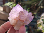 Natural Amethyst Spirit Quartz Clusters x 12 From Boekenhouthoek, South Africa - Toprock Gemstones and Minerals 