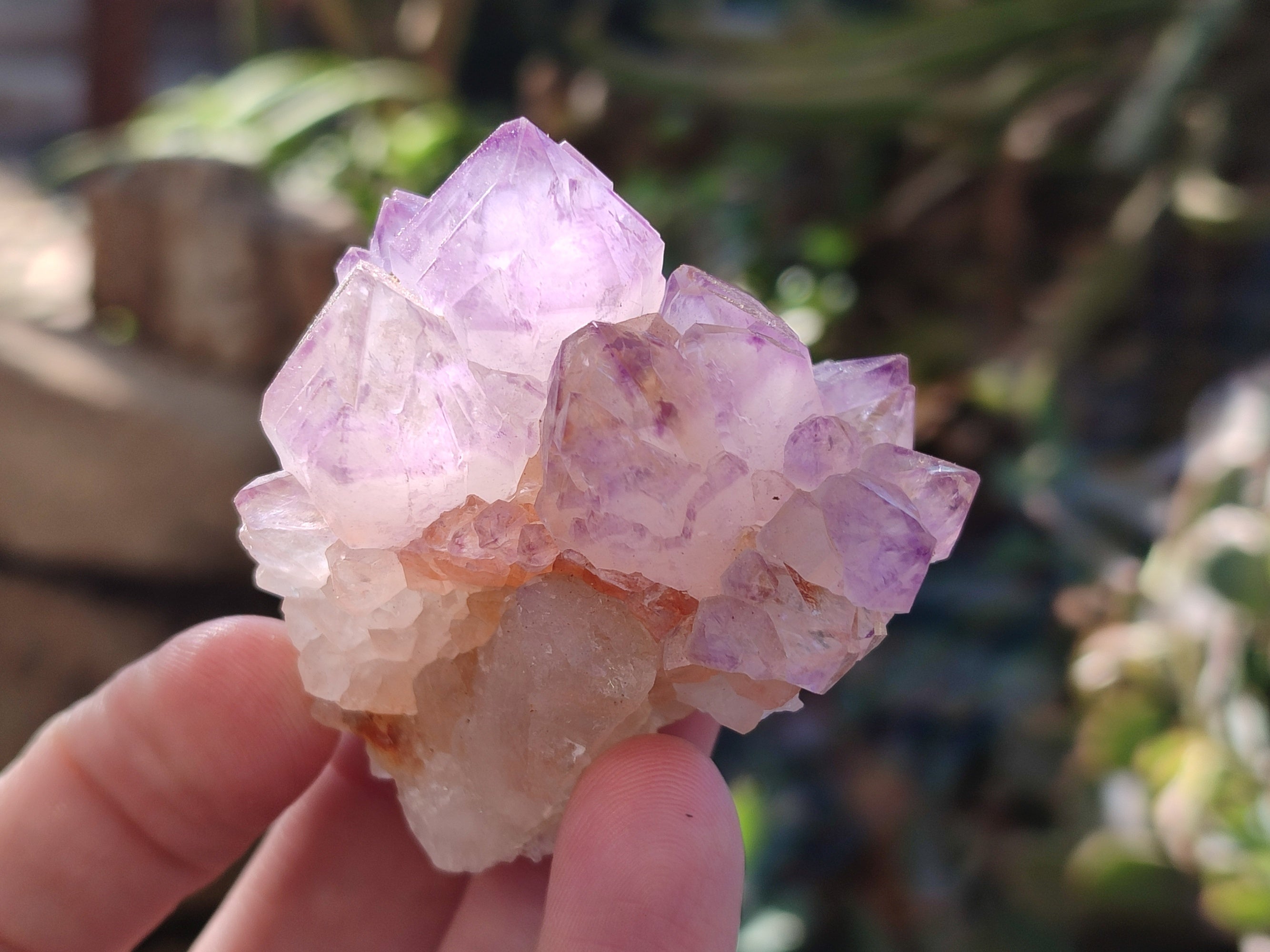 Natural Amethyst Spirit Quartz Clusters x 12 From Boekenhouthoek, South Africa - Toprock Gemstones and Minerals 