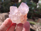 Natural Amethyst Spirit Quartz Clusters x 12 From Boekenhouthoek, South Africa - Toprock Gemstones and Minerals 