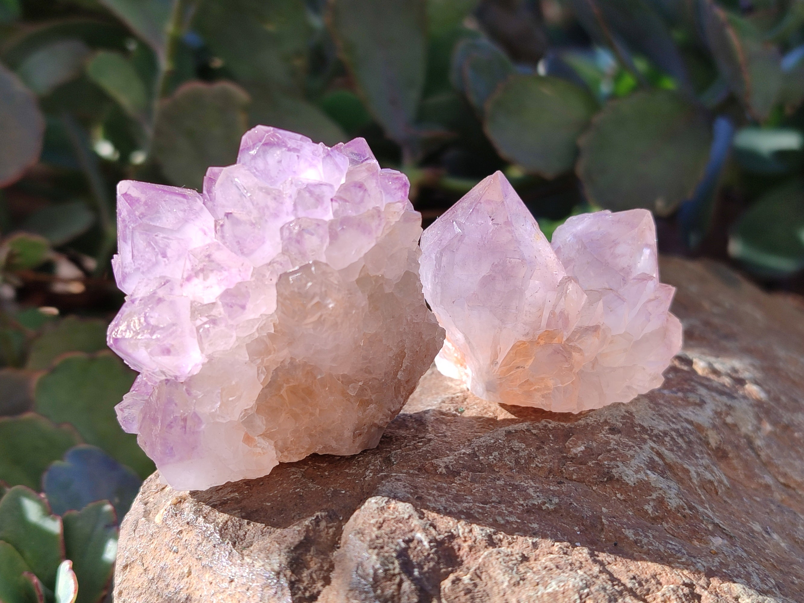 Natural Amethyst Spirit Quartz Clusters x 12 From Boekenhouthoek, South Africa - Toprock Gemstones and Minerals 