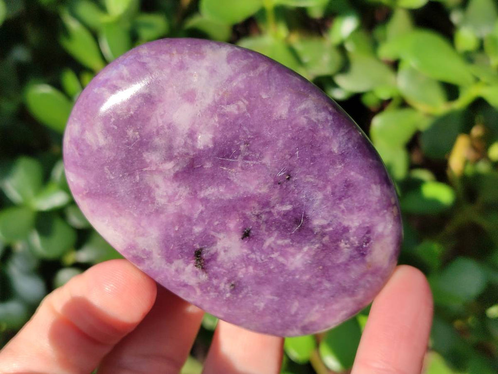 Polished Lepidolite Free Forms x 6 From Zimbabwe - Toprock Gemstones and Minerals 