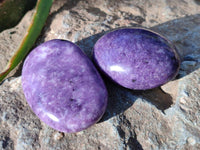 Polished Lepidolite Free Forms x 6 From Zimbabwe