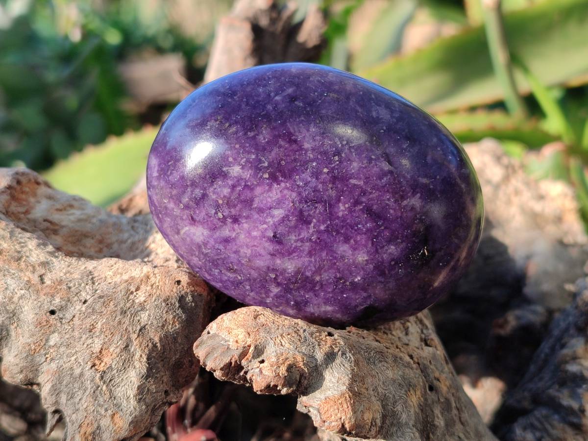 Polished Lepidolite Free Forms x 6 From Zimbabwe - Toprock Gemstones and Minerals 