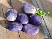 Polished Lepidolite Free Forms x 6 From Zimbabwe