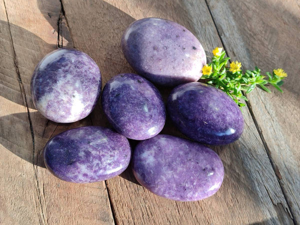 Polished Lepidolite Free Forms x 6 From Zimbabwe