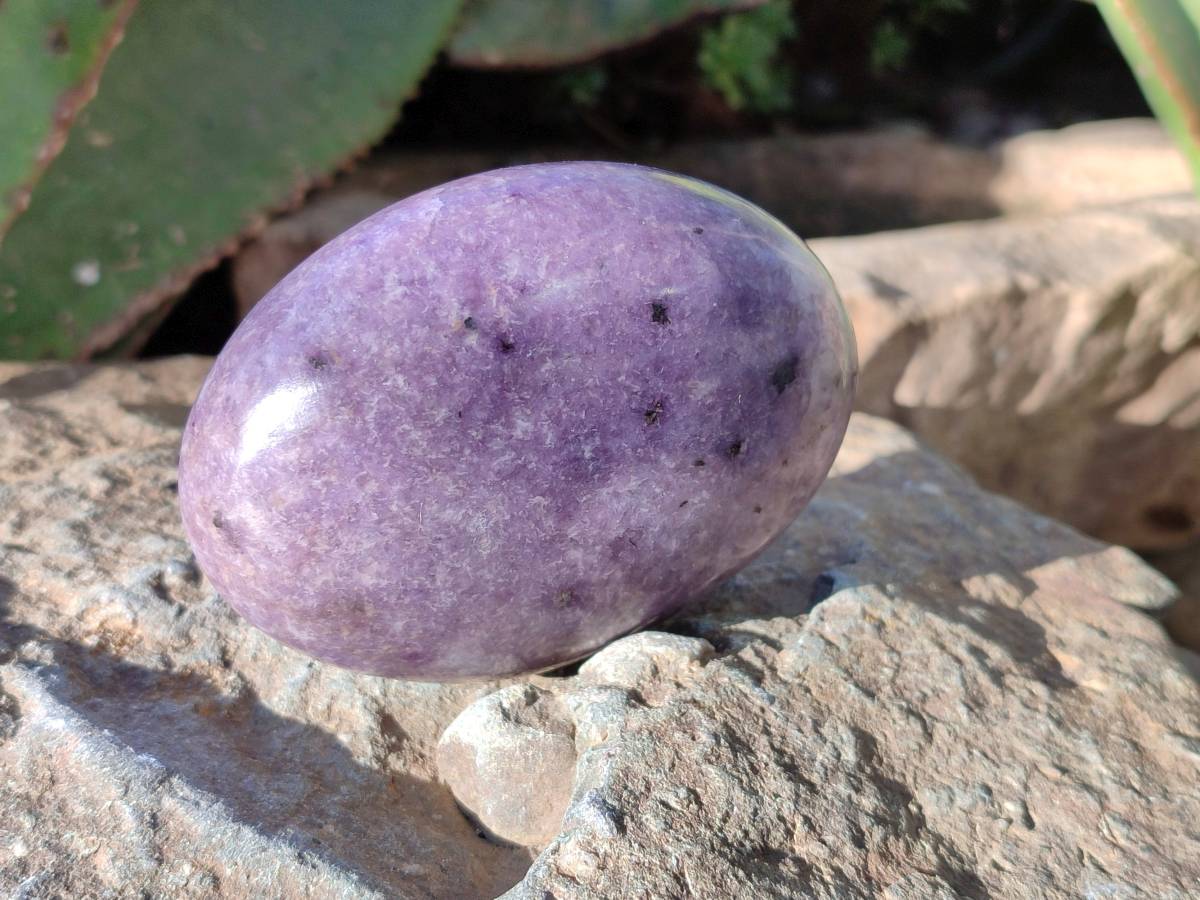 Polished Lepidolite Free Forms x 6 From Zimbabwe - Toprock Gemstones and Minerals 