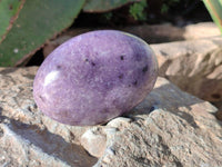 Polished Lepidolite Free Forms x 6 From Zimbabwe