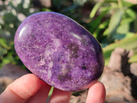 Polished Lepidolite Free Forms x 6 From Zimbabwe