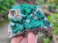 Natural Ball Malachite and Drusy Quartz On Dolomite Matrix Specimens x 3 From Kambove, Congo