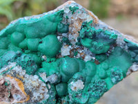 Natural Ball Malachite and Drusy Quartz On Dolomite Matrix Specimens x 3 From Kambove, Congo