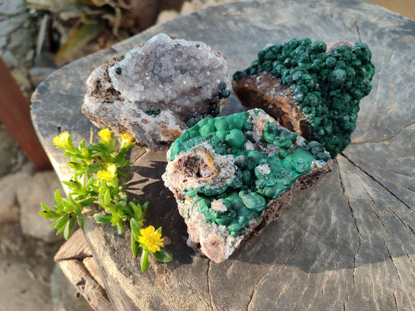 Natural Ball Malachite and Drusy Quartz On Dolomite Matrix Specimens x 3 From Kambove, Congo