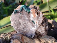 Natural Ball Malachite and Drusy Quartz On Dolomite Matrix Specimens x 3 From Kambove, Congo