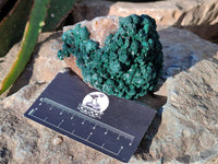 Natural Ball Malachite and Drusy Quartz On Dolomite Matrix Specimens x 3 From Kambove, Congo