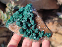 Natural Ball Malachite and Drusy Quartz On Dolomite Matrix Specimens x 3 From Kambove, Congo