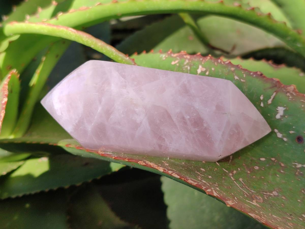 Polished Double Terminated Rose Quartz Points x 6 Ambatondrazaka, Madagascar - Toprock Gemstones and Minerals 
