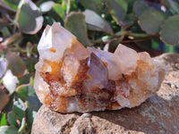 Natural Smokey Amethyst Spirit Quartz Clusters x 6 From Boekenhouthoek, South Africa