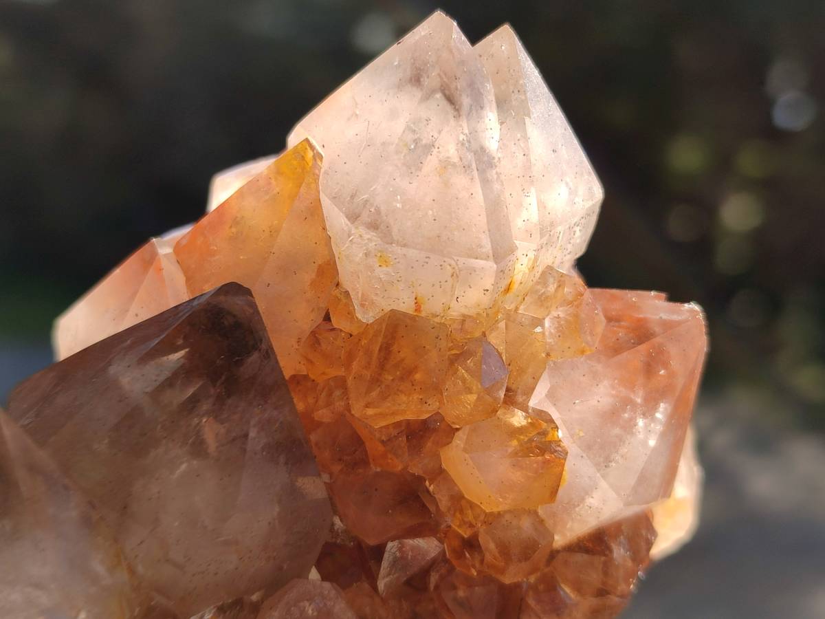 Natural Smokey Amethyst Spirit Quartz Clusters x 6 From Boekenhouthoek, South Africa - Toprock Gemstones and Minerals 