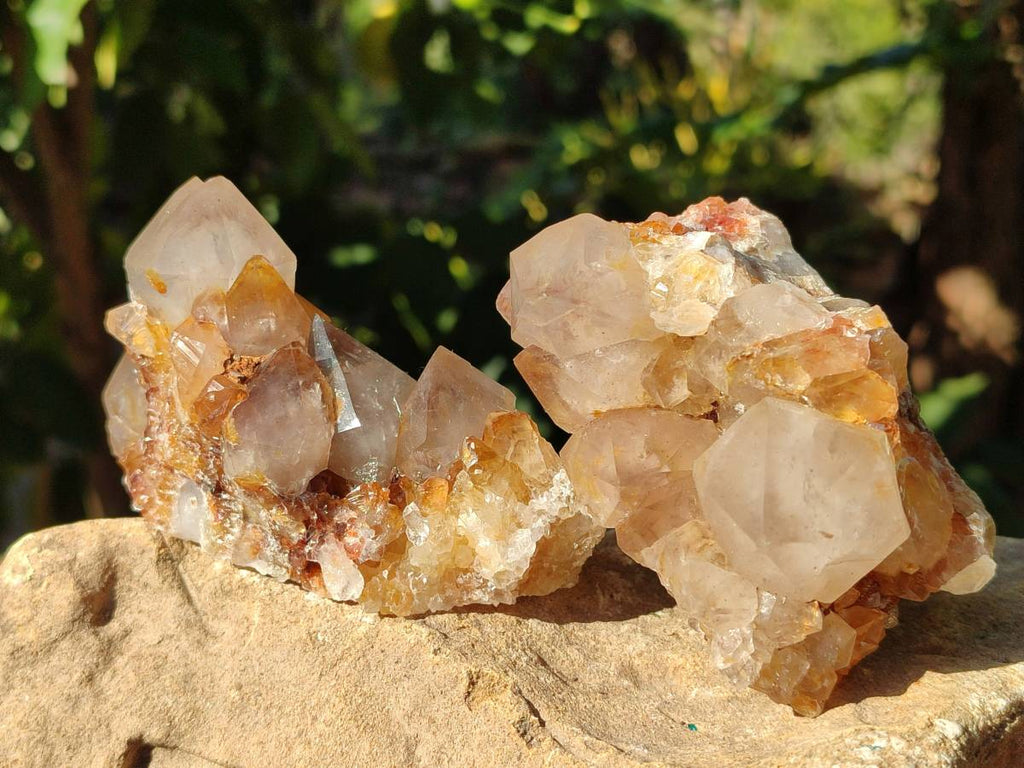 Natural Smokey Amethyst Spirit Quartz Clusters x 6 From Boekenhouthoek, South Africa - Toprock Gemstones and Minerals 