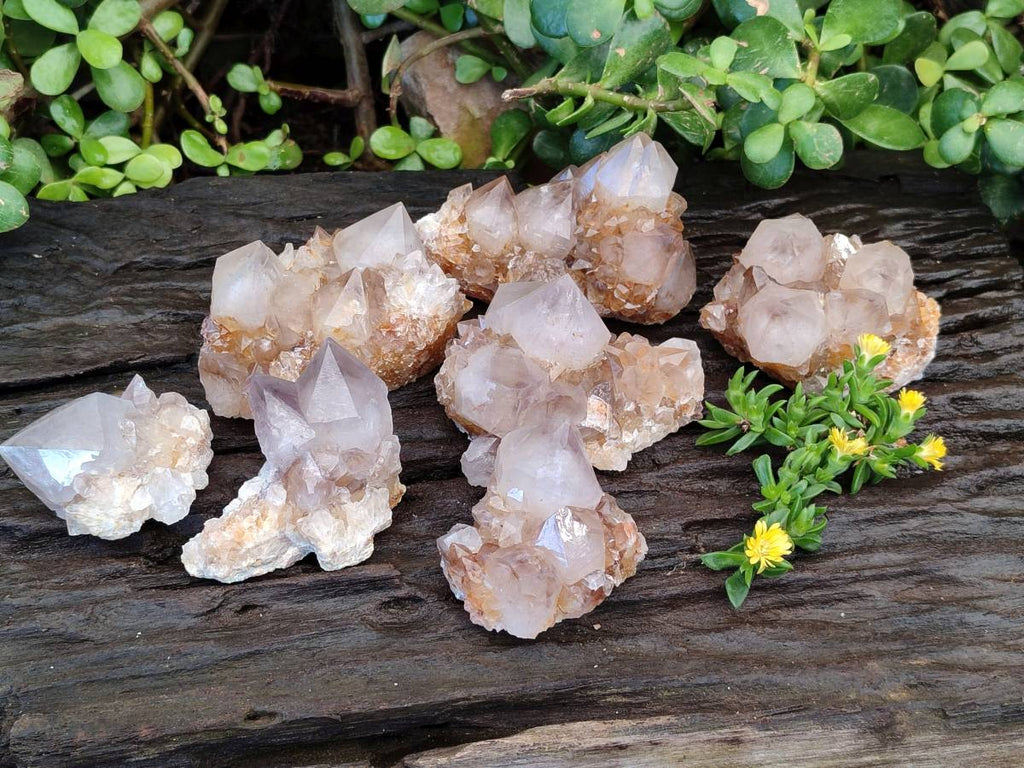 Natural Smokey Amethyst Spirit Quartz Clusters x 6 From Boekenhouthoek, South Africa - Toprock Gemstones and Minerals 
