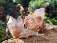 Natural Smokey Amethyst Spirit Quartz Clusters x 6 From Boekenhouthoek, South Africa