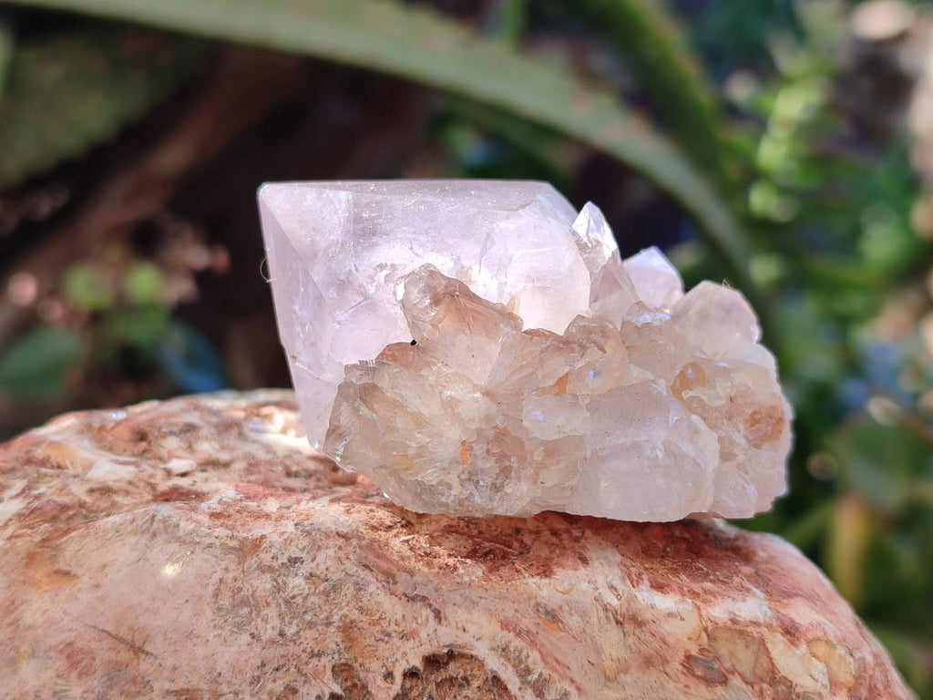 Natural Smokey Amethyst Spirit Quartz Clusters x 6 From Boekenhouthoek, South Africa - Toprock Gemstones and Minerals 