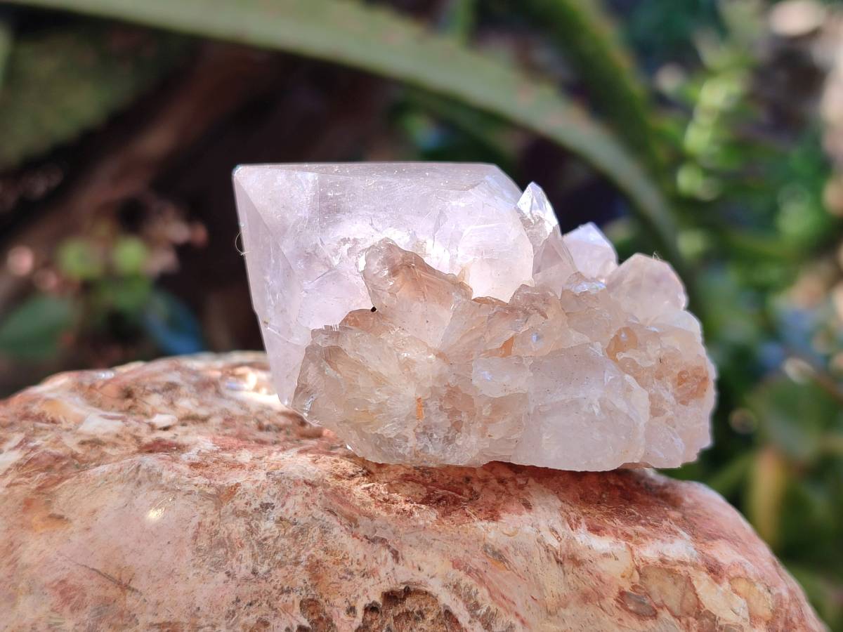 Natural Smokey Amethyst Spirit Quartz Clusters x 6 From Boekenhouthoek, South Africa - Toprock Gemstones and Minerals 
