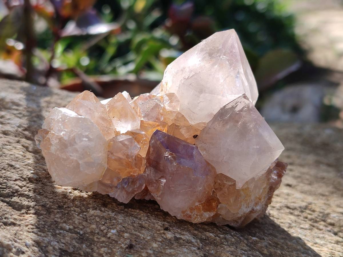 Natural Smokey Amethyst Spirit Quartz Clusters x 6 From Boekenhouthoek, South Africa - Toprock Gemstones and Minerals 