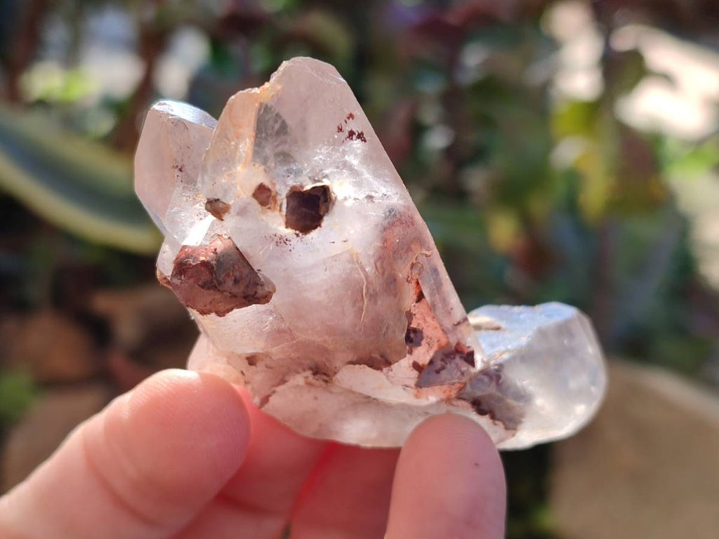 Natural Mixed Small Clusters and Single Crystals x 2.76 Kg Lot From Southern Africa - Toprock Gemstones and Minerals 