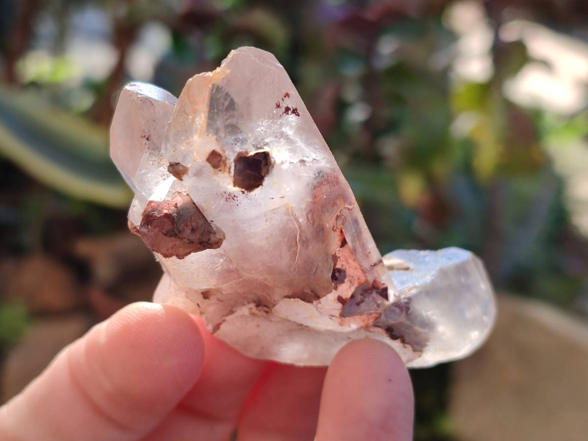 Natural Mixed Small Clusters and Single Crystals x 2.76 Kg Lot From Southern Africa - Toprock Gemstones and Minerals 