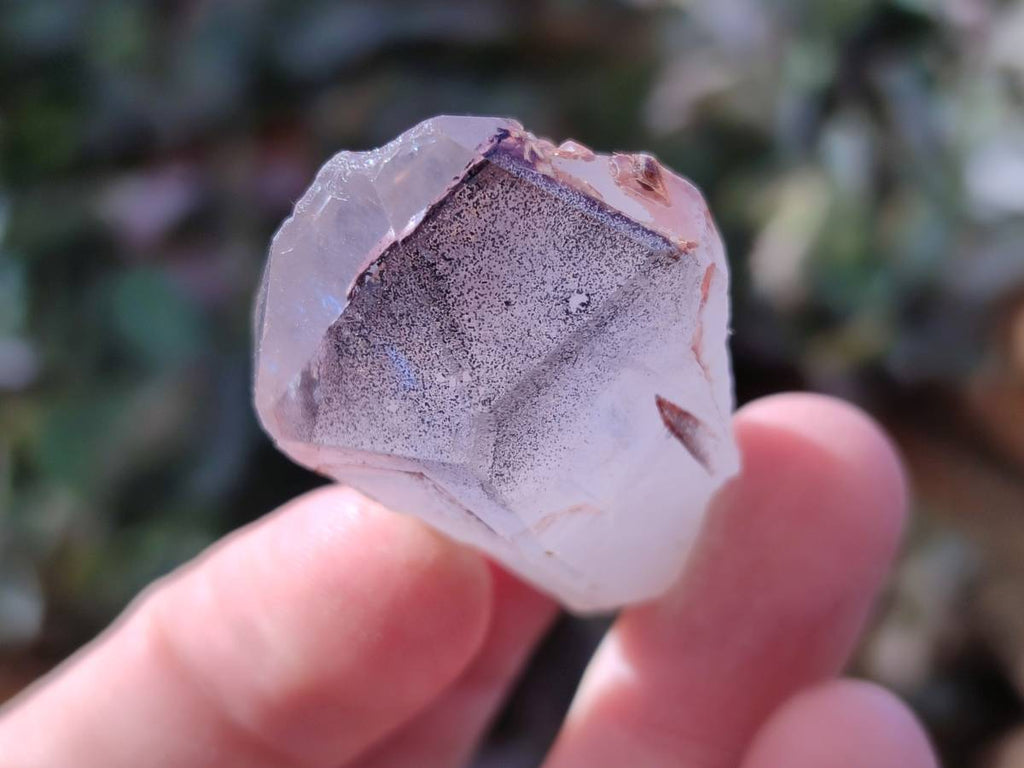 Natural Mixed Small Clusters and Single Crystals x 2.76 Kg Lot From Southern Africa - Toprock Gemstones and Minerals 