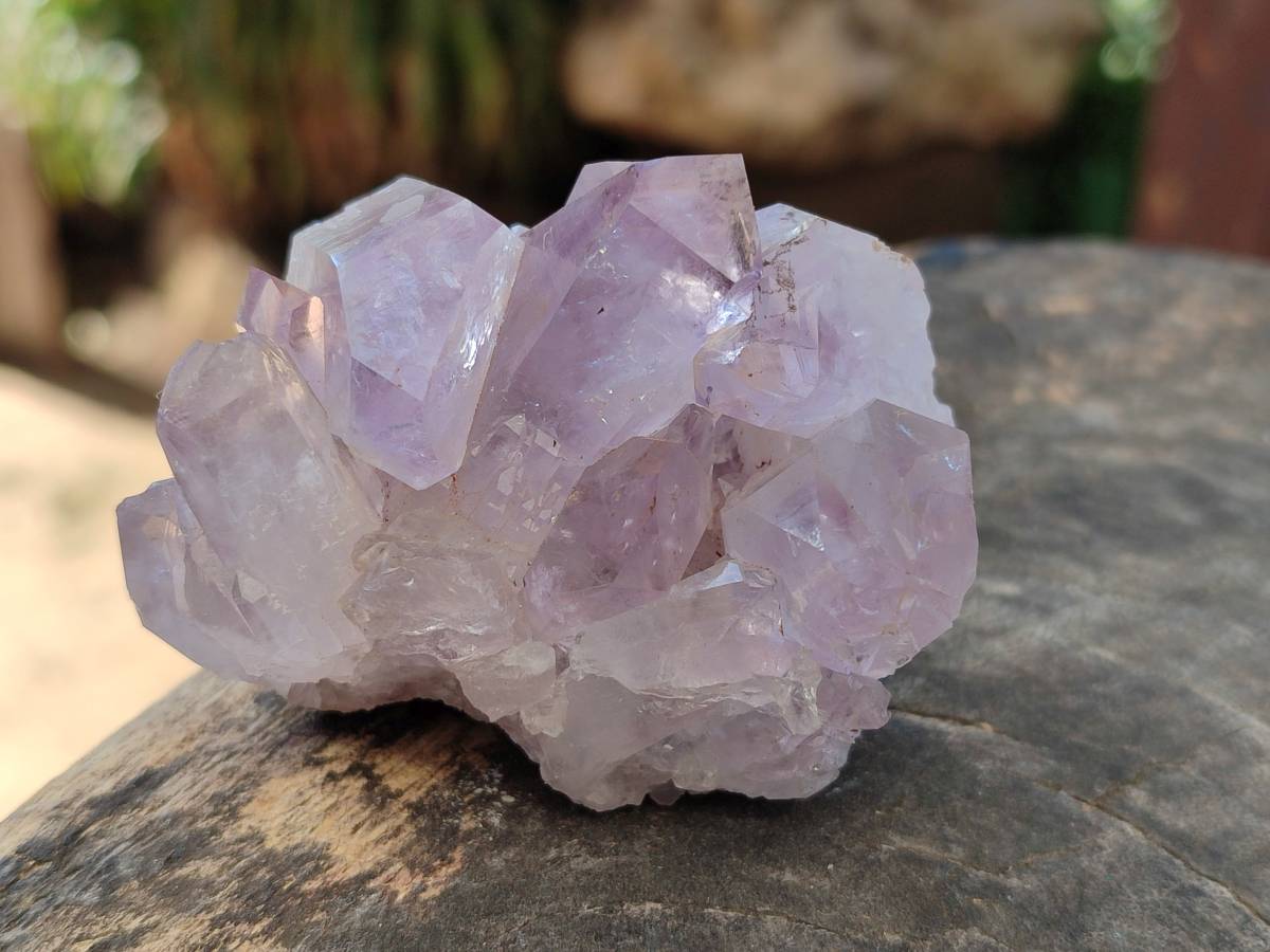 Natural Mixed Small Clusters and Single Crystals x 2.76 Kg Lot From Southern Africa - Toprock Gemstones and Minerals 