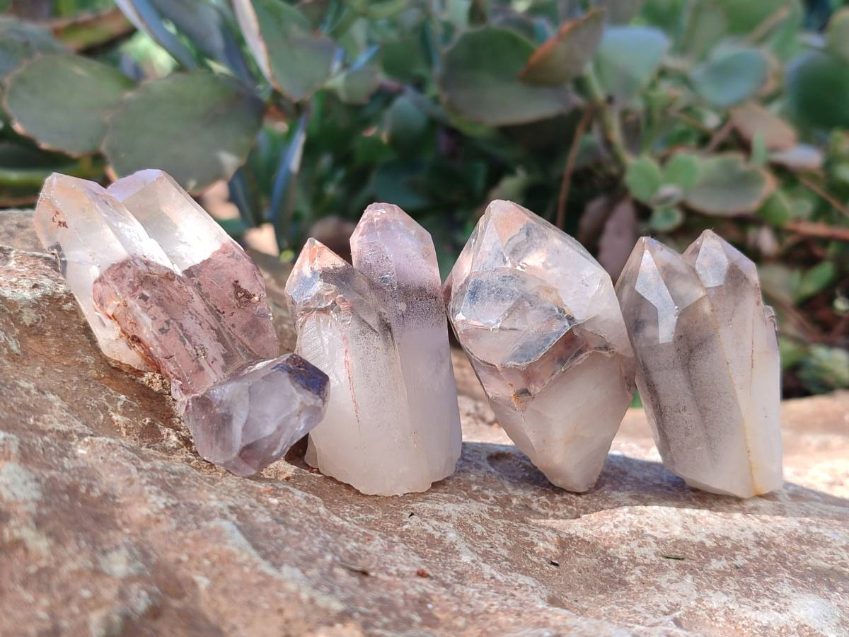 Natural Mixed Small Clusters and Single Crystals x 2.76 Kg Lot From Southern Africa - Toprock Gemstones and Minerals 
