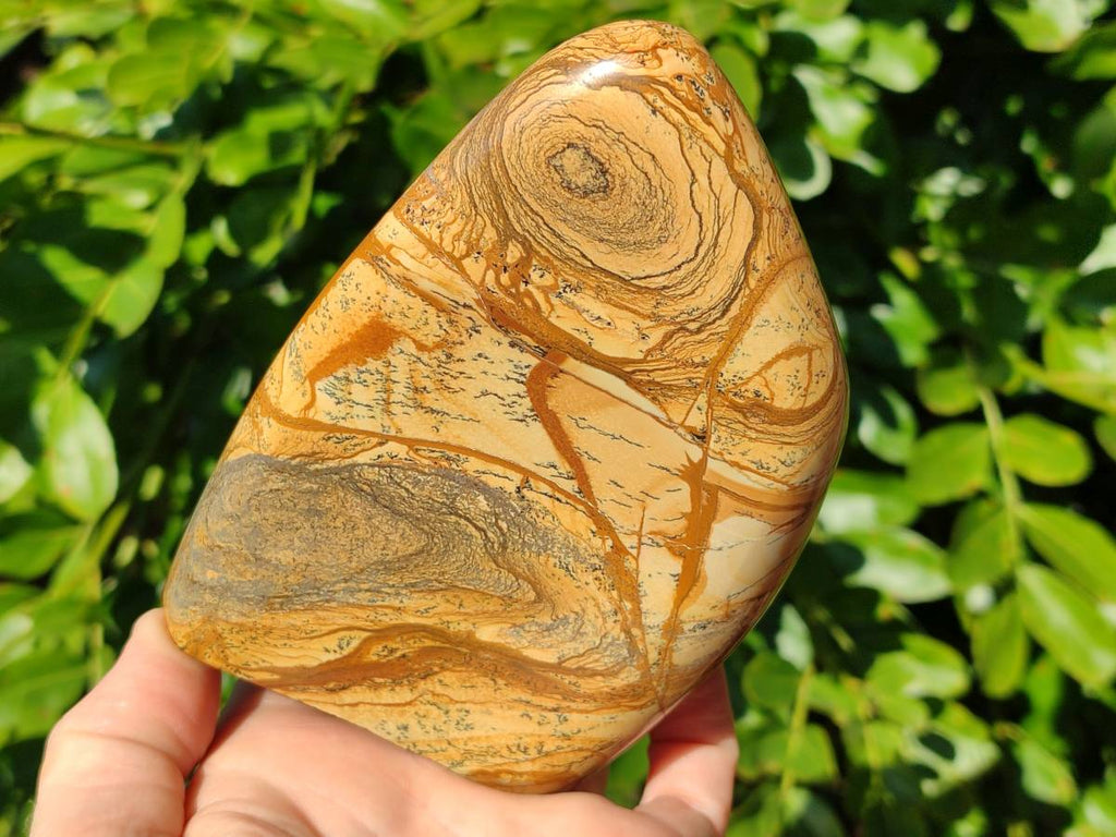 Polished Picture Stone Jasper Standing Free Forms x 2 From Northwest Coast, Madagascar - Toprock Gemstones and Minerals 