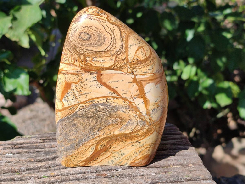 Polished Picture Stone Jasper Standing Free Forms x 2 From Northwest Coast, Madagascar - Toprock Gemstones and Minerals 