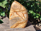 Polished Picture Stone Jasper Standing Free Forms x 2 From Northwest Coast, Madagascar - Toprock Gemstones and Minerals 