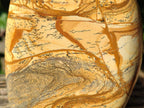 Polished Picture Stone Jasper Standing Free Forms x 2 From Northwest Coast, Madagascar - Toprock Gemstones and Minerals 
