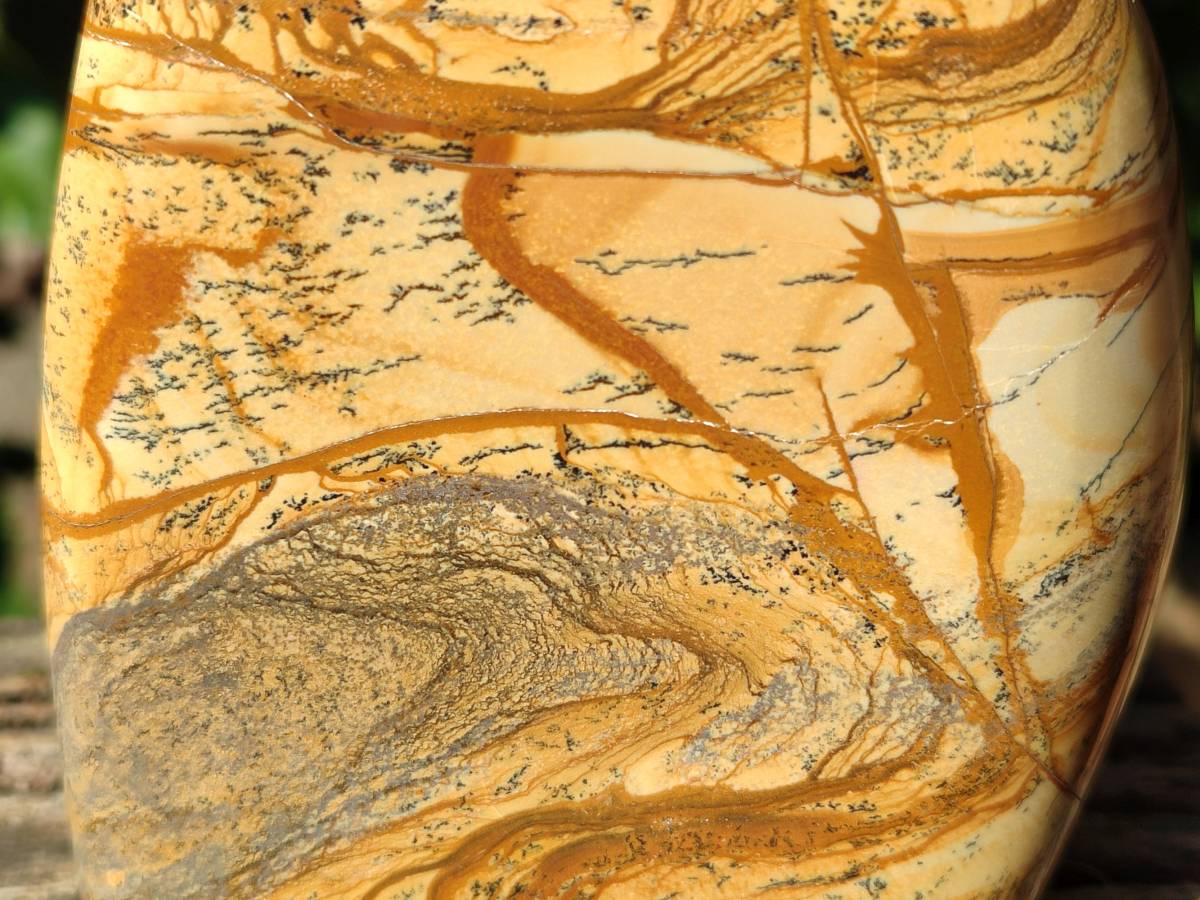 Polished Picture Stone Jasper Standing Free Forms x 2 From Northwest Coast, Madagascar - Toprock Gemstones and Minerals 